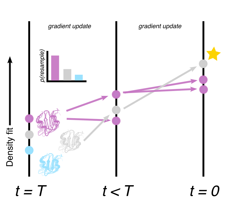 Feynman-Kac steering for ensemble sampling